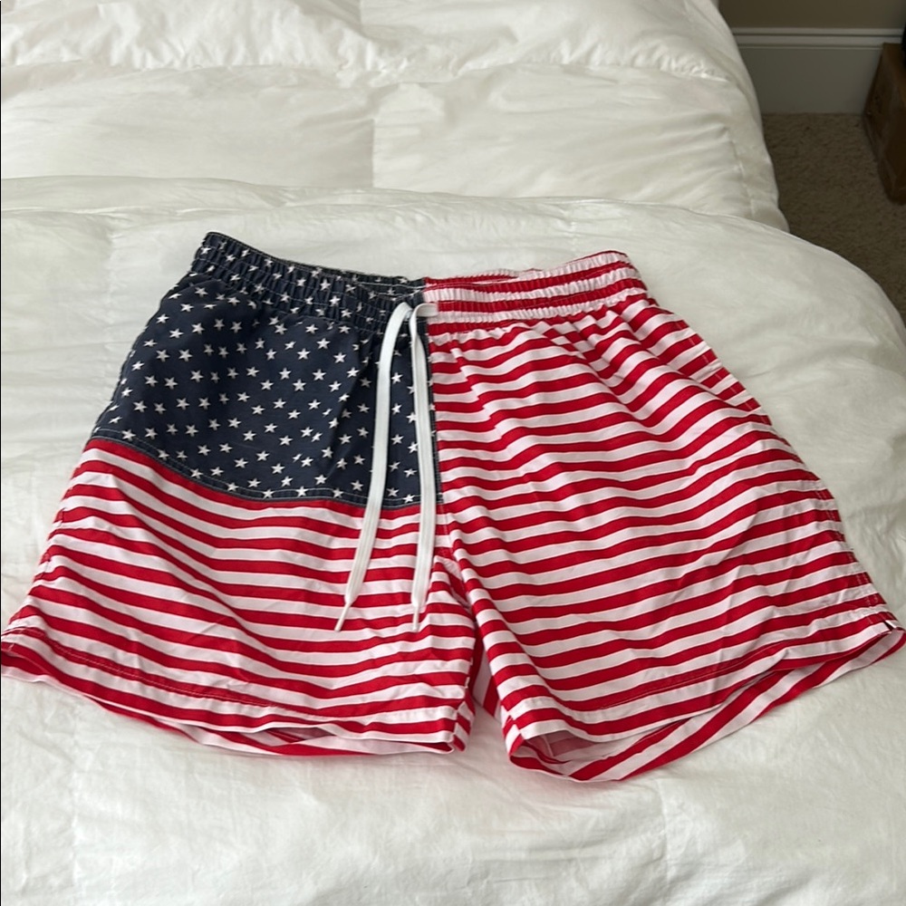 Chubbies The Mericas Swim Trunks sz L - Picture 3 of 8